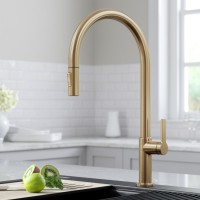Смеситель кухонный Kraus Oletto KPF-2821SFACB