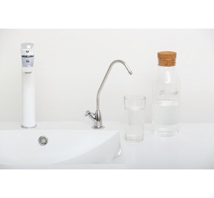 Проточний фільтр Ecosoft Standard