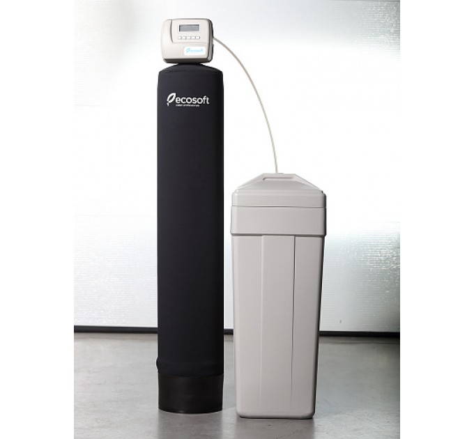 Фільтр знезалізнення і пом'якшення води Ecosoft FK1252CEMIXA