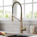 Смеситель кухонный Kraus Oletto KPF-2631SFACB
