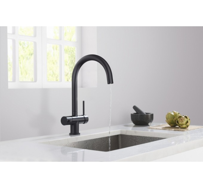 Змішувач кухонний Blue Water EDEN Чорний матовий