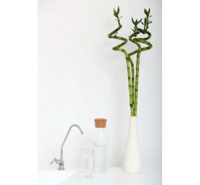 Фільтр зворотного осмосу Ecosoft Standard PRO