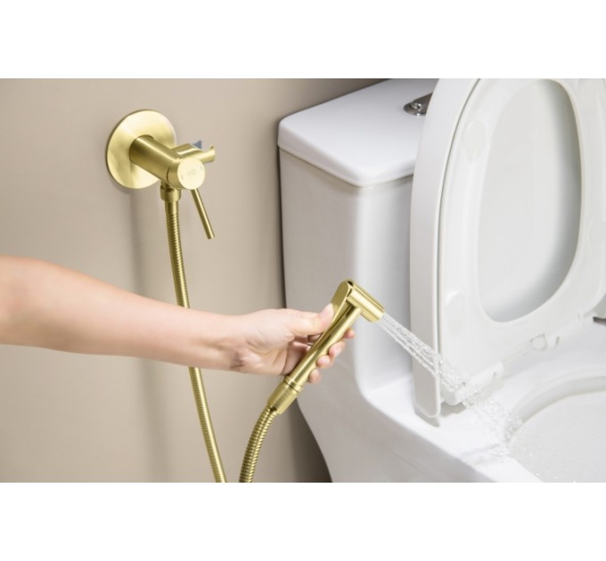 Змішувач для біде Blue Water BOSTON BOS-BBP.040 Шампанське золото