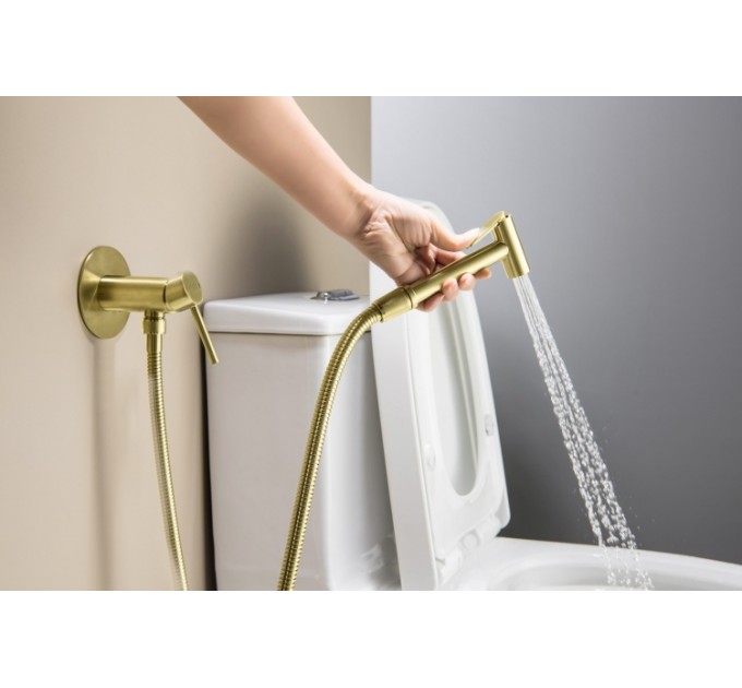 Змішувач для біде Blue Water BOSTON BOS-BBP.040 Шампанське золото