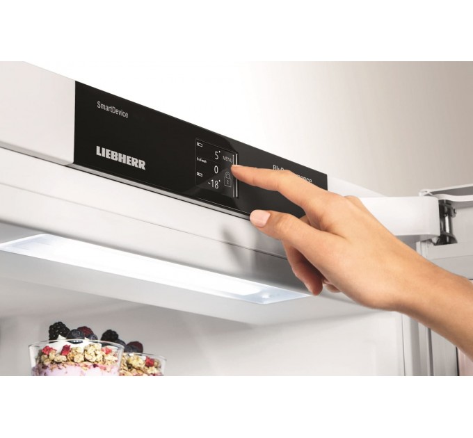 Двокамерний холодильник Liebherr CBNef 5735