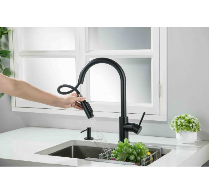 Смеситель кухонный Blue Water DIANA PLUS Черный матовый (под окно)