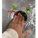 Подрібнювач харчових відходів In-Sink-Erator Premium 550