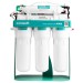 Фильтр обратного осмоса Ecosoft PURE AquaCalcium Mint с насосом на станине