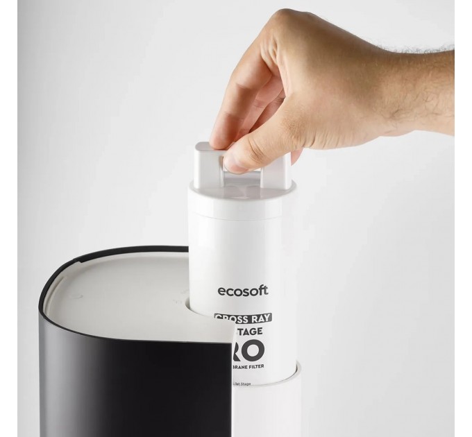 Настольный фильтр обратного осмоса Ecosoft RAY