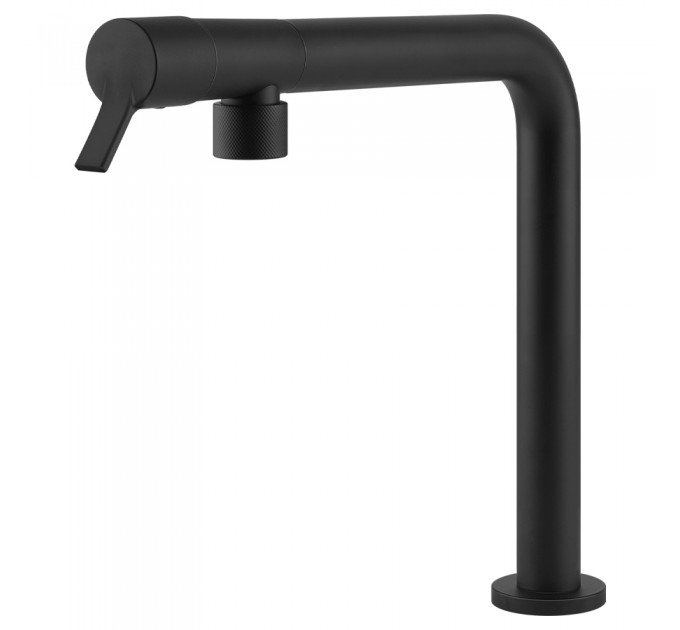 Смеситель кухонный Gessi Fisso 60073#299